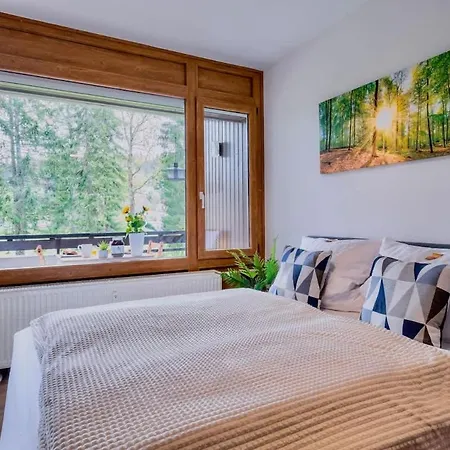 Relaxapartments Black Forest Emotion Mit Sonnenbalkon Mit Blick Auf Den Kurpark, Schnelles Internet, Naehe Triberger Wasserfaelle, Fuer Bis Zu 2 Personen Schönwalde Zewnętrze zdjęcie