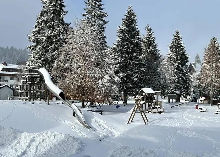 Relaxapartments Black Forest Emotion Mit Sonnenbalkon Mit Blick Auf Den Kurpark, Schnelles Internet, Naehe Triberger Wasserfaelle, Fuer Bis Zu 2 Personen