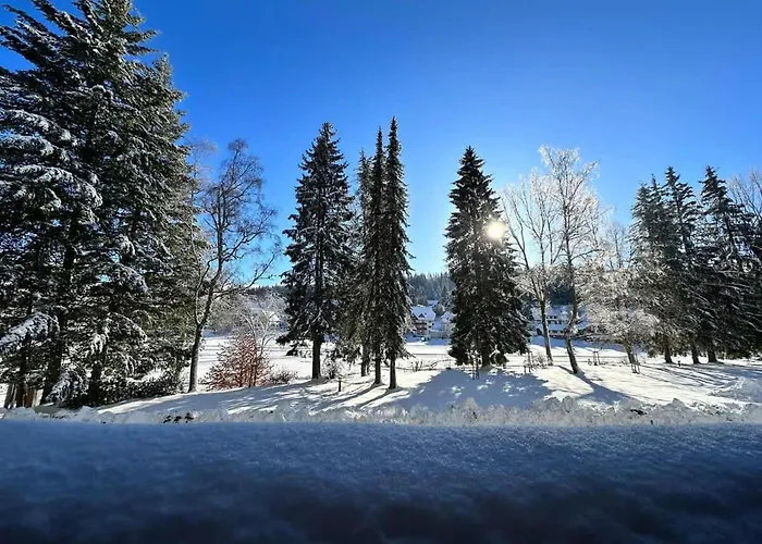 Relaxapartments Black Forest Emotion Mit Sonnenbalkon Mit Blick Auf Den Kurpark, Schnelles Internet, Naehe Triberger Wasserfaelle, Fuer Bis Zu 2 Personen