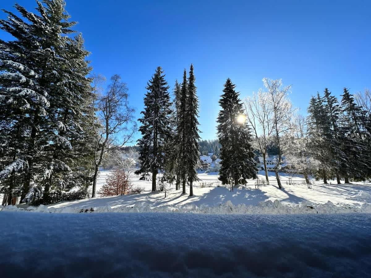 Apartment Auszeit Apartment: Black Forest Retreat With Sunny Balcony Schoenwald im Schwarzwald