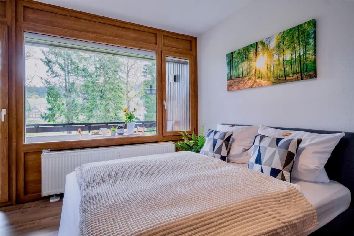 Apartment Auszeit Apartment: Black Forest Retreat With Sunny Balcony *